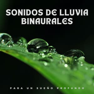Sonidos de lluvia binaurales para un sueño profundo - Lluvia PQ