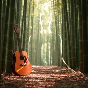 Uplifting Guitar Soundscapes - Spa Relaxing Music