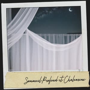 Schlafmusik: Von der Nachtbrise gestreichelt - Sleeping Music