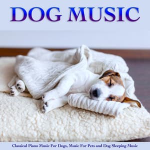 Dog Music: Classical Piano Music For Dogs, Music For Pets and Dog Sleeping Music - Dog Music