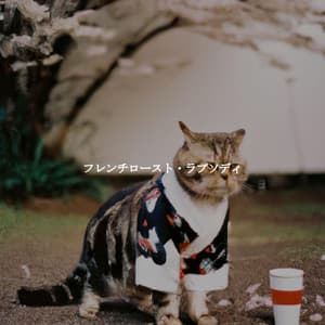 フレンチロースト・ラプソディ - Cafe Smooth Jazz Radio