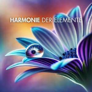 Harmonie der Elemente: Ein akustischer Spaziergang durch die Naturkräfte - Entspannungsmusik Academy