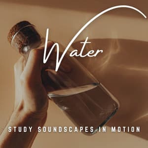 Ripple of Productivity: Water's Study Soundscapes - Sounds for Life