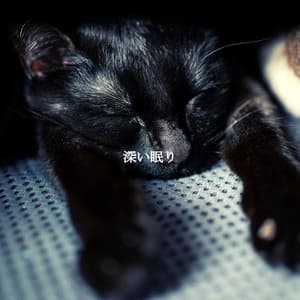 深い眠り - Acoustic Jazz