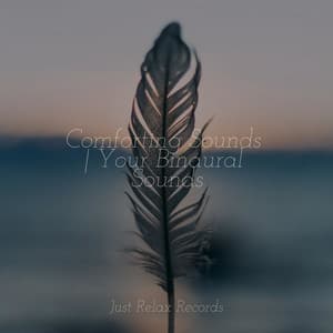Comforting Sounds | Your Binaural Sounds - Meditation Relaxation Club