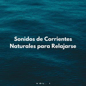Sonidos De Corrientes Naturales Para Relajarse Vol. 1 - Sonidos relajantes del agua