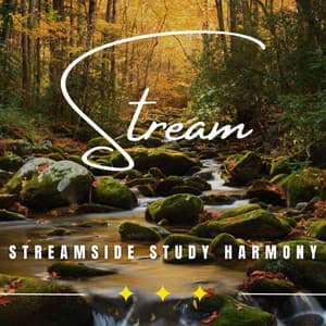 Eternal Stream of Knowledge: Binaural Studying for Success - Waterfall Sounds