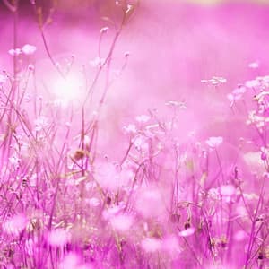 Music for Higher Tones - Office Music Experts