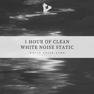1 Hour of Clean White Noise Static - White Noise ASMR