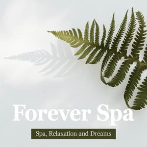 Forever Spa - Spa, Relaxation and Dreams