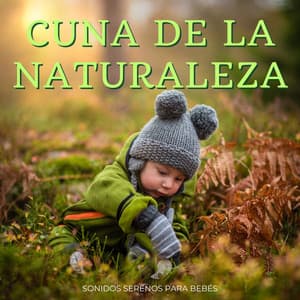 Cuna De La Naturaleza: Sonidos Serenos Para Bebés - Acústica de la Naturaleza