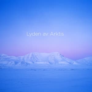 Lasse Thoresen: Lyden av Arktis - Lasse Thoresen