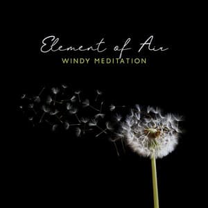 Oasis of Relaxation and Meditation / Night White Noise Universe - Oasis of Relaxation and Meditation