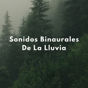 Sonidos Binaurales De La Lluvia - Moldeadores binaurales
