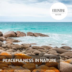Peacefulness in Nature - Nature Radiance