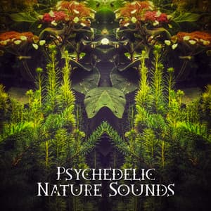 Psychedelic Elemental Harmony - Jenn Wontherne