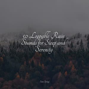 Binaural Waves - Guided Meditation Music Zone