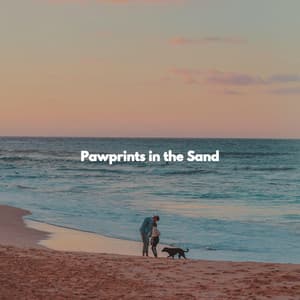 Pawprints in the Sand - Instrumental Jazz Trio New York