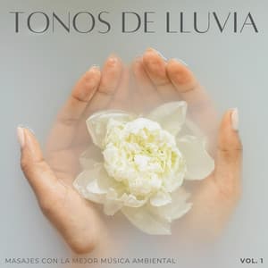 Tonos De Lluvia: Masajes Con La Mejor Música Ambiental Vol. 1 - Siente El Clima