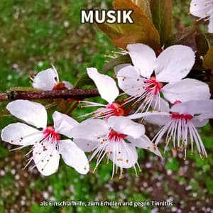 Musik als Einschlafhilfe, zum Erholen und gegen Tinnitus - Entspannungsmusik
