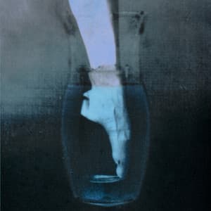 The Shape of the Dance - Tomaga