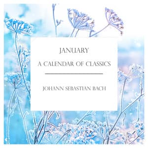 'January': A Calendar of Classics: Bach - Johann Sebastian Bach