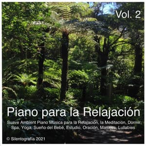 Piano para la Relajación, Vol. 2 - Silentografía