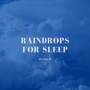Raindrops For Sleep - Sky Fall SF
