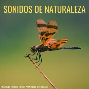 Sonidos De Naturaleza: Música De Fondo De Grillos Para Un Spa Revitalizante - Verde 5