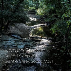 Nature Stream: Restful Sleep with Gentle Creek Sound Vol. 1 - Sleepy Dogs