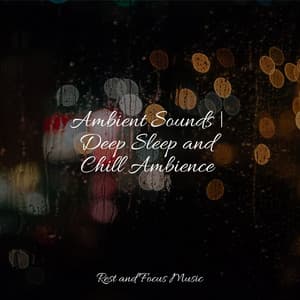 Ambient Sounds | Deep Sleep and Chill Ambience - Easy Sleep Music