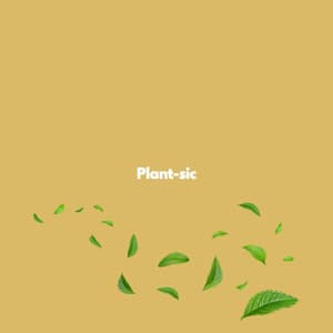 Plant-sic - Musica Rilassante Mattutina Orchestra