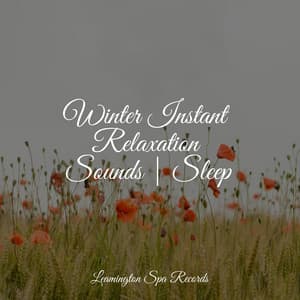 Winter Instant Relaxation Sounds | Sleep - Lightning
