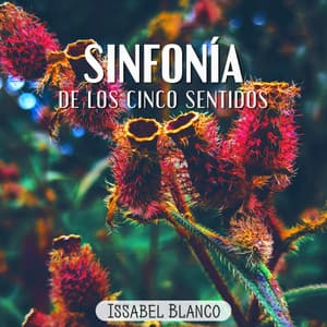 Sinfonía de los Cinco Sentidos - Issabel Blanco