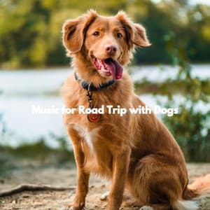 Music for Road Trip with Dogs - Calming Jazz For Dogs
