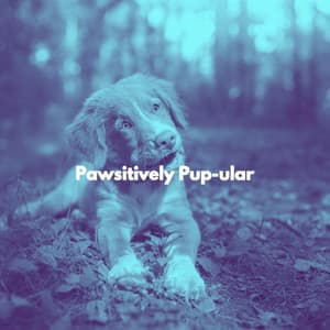Pawsitively Pup-ular - Relaxing Morning Jazz Playlist