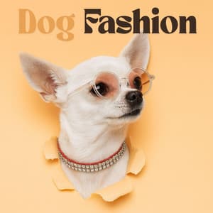 Dog Fashion - Pet Music Academy