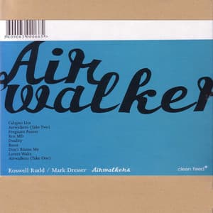 Airwalkers - Roswell Rudd