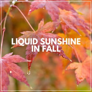 Liquid Sunshine in Fall - Pro Sound Effects Library