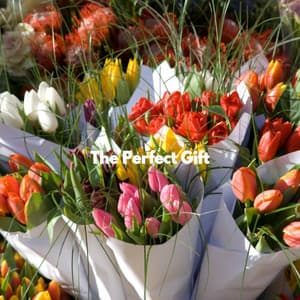 The Perfect Gift - Mattina Jazz