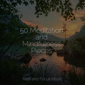 50 Meditation and Mindfulness Pieces - Study Zone