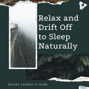 Relax and Drift Off to Sleep Naturally - Nature Sounds At Home