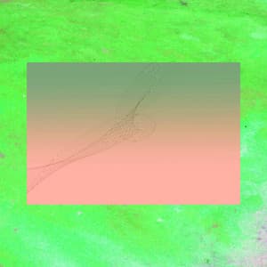 Majestic Piano Jazz Duo - Background for Mellowing Out Messages - Relax Chillout Lounge