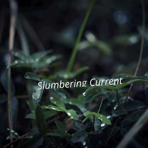 Slumbering Current - Lumenis