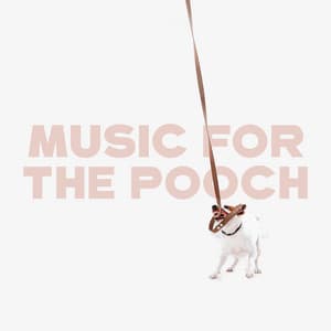 Music for the Pooch - Calm Animals Music