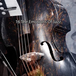 16 The Emotions Of Jazz - Bossa Nova Lounge