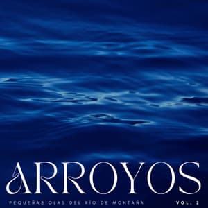 Arroyos: Pequeñas Olas Del Río De Montaña Vol. 2 - Sonido de Cascada