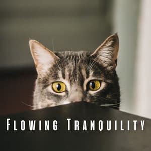 Flowing Tranquility: Calming River and Chill Music for Cats - Aquagirl