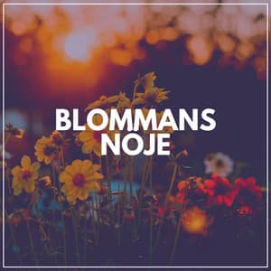 Blommans Nöje - Naturljud