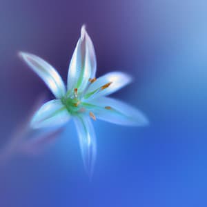 ! ! ! ! Serenade in Blue - Música Relajante